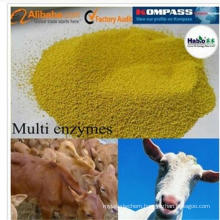 Animal digestive and absorptive improver Ruminant Specialized Multi Enzyme for Cattle/Horse Feed